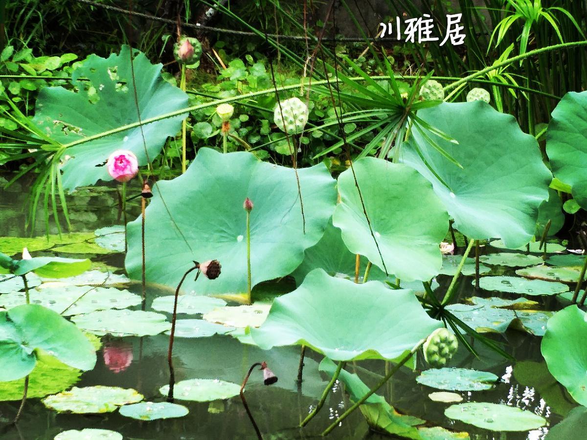Chuan Ya Ju Homestay 旗山区 エクステリア 写真