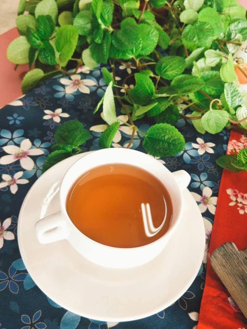 Chuan Ya Ju Homestay 旗山区 エクステリア 写真